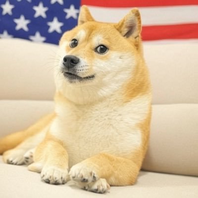 American Doge Hero